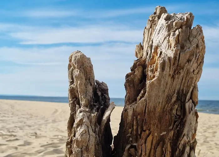 M&k Baltycka Przystan - Sobieszewo Апартаменты