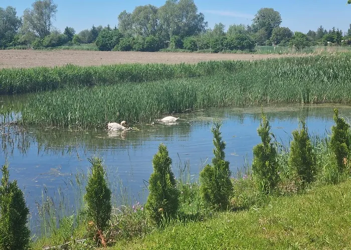 M&k Baltycka Przystan - Sobieszewo Апартаменты