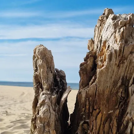 M&k Baltycka Przystan - Sobieszewo Daire